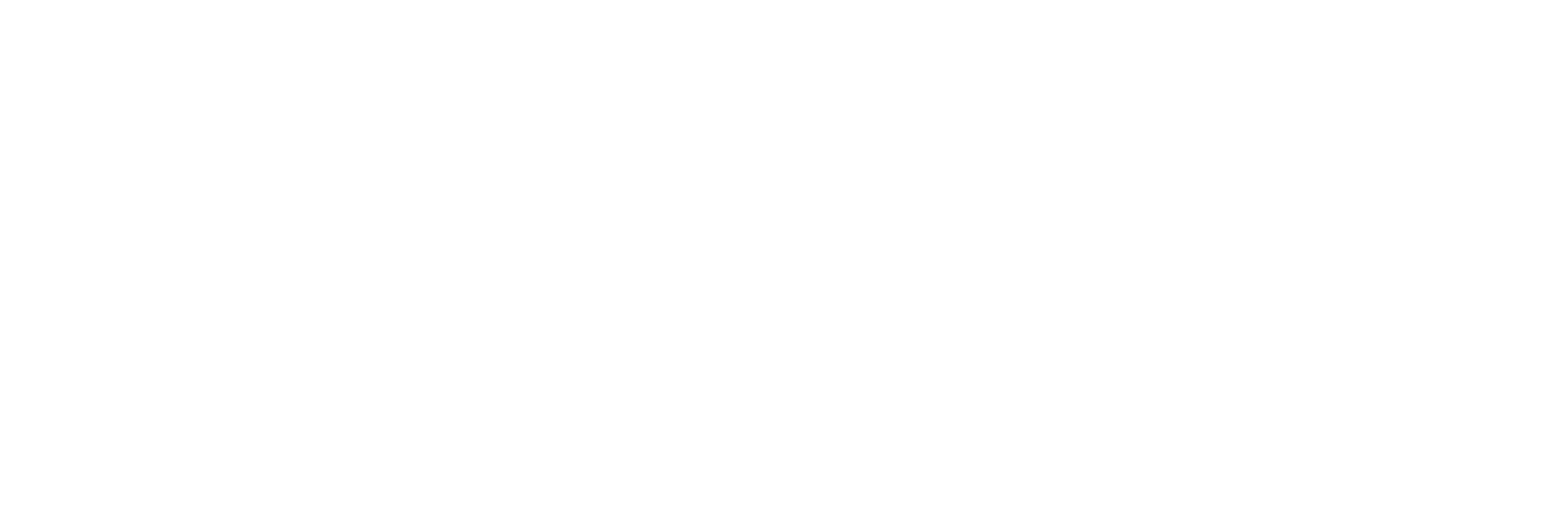 Sponsor